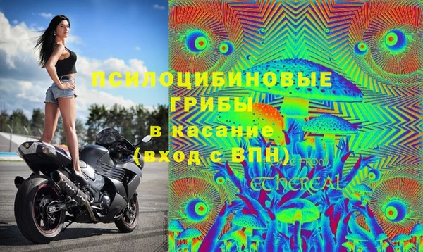 метадон Арсеньев