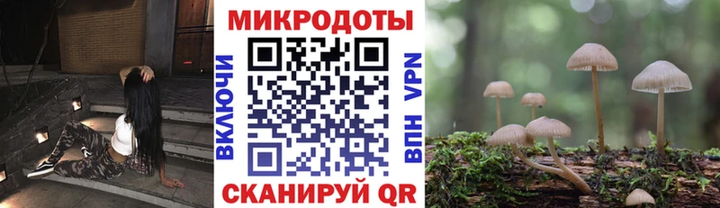где продают наркотики  Талица  Псилоцибиновые грибы мицелий 