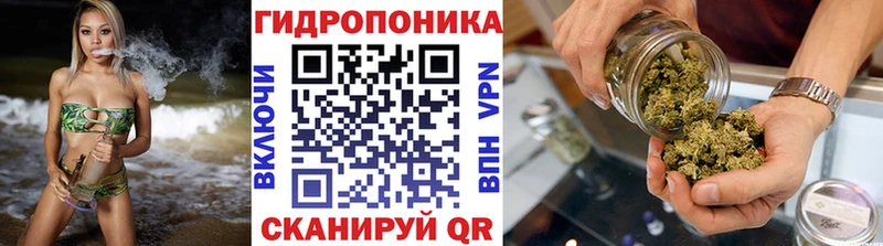 мега ССЫЛКА  даркнет сайт  Талица  Марихуана план 